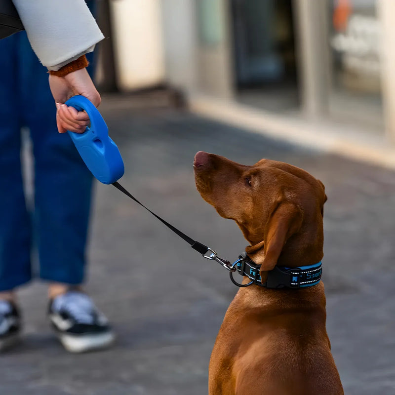 Coleira retrátil para cachorro.
